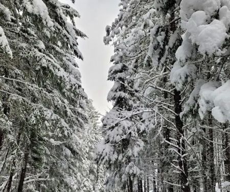 Threehorn Campground