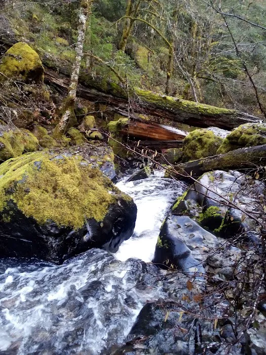 Devil's Flat Campground Picture 4