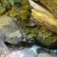 Devil's Flat Campground ico