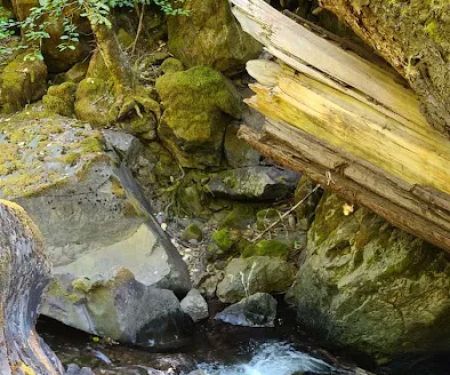 Devil's Flat Campground