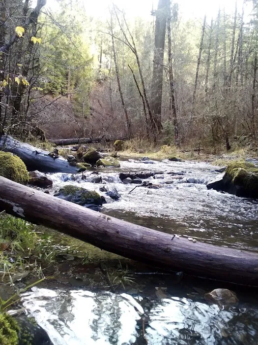 Devil's Flat Campground Picture 6
