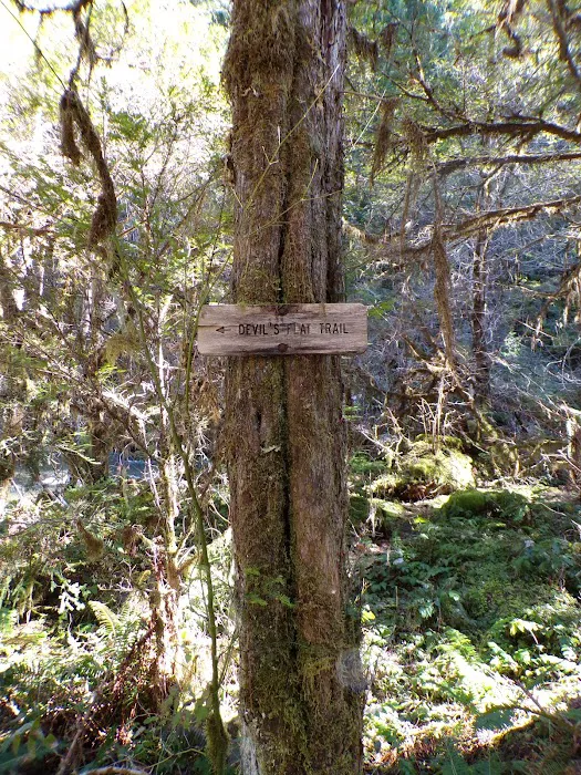 Devil's Flat Campground Picture 10