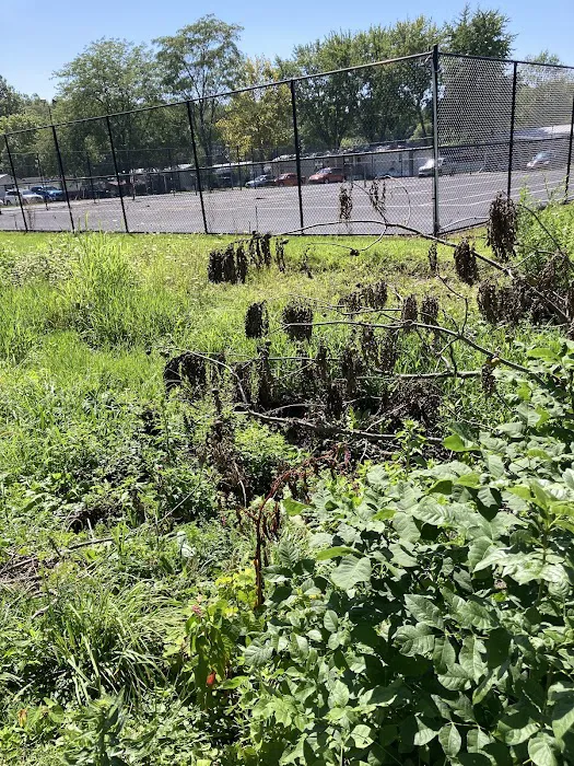 Colonial Estates Mobile Home Picture 4