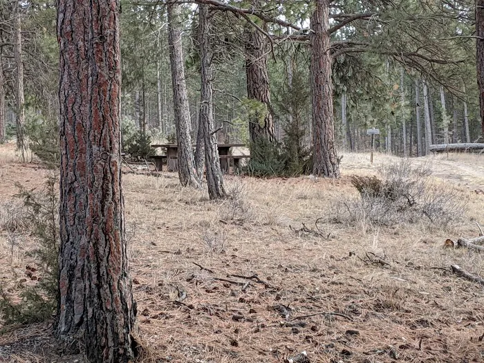 Gateway Campground Picture 8