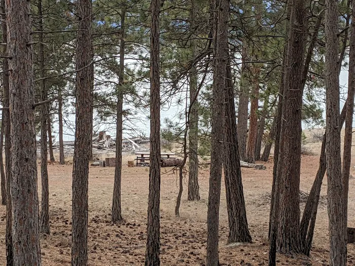 Gateway Campground Picture 9