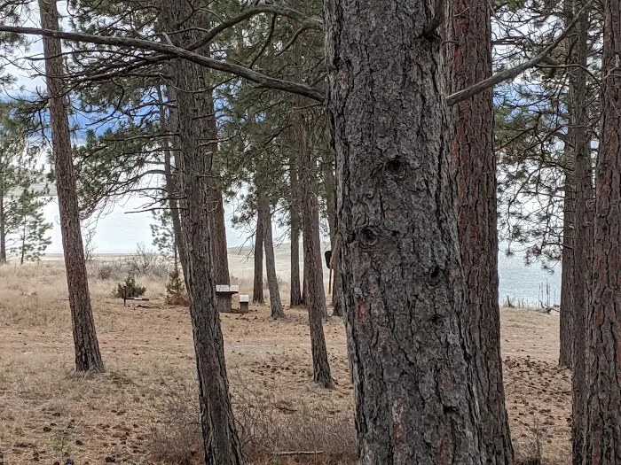 Gateway Campground Picture 5