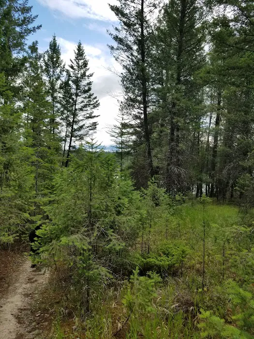 Rexford Bench Campground Picture 10