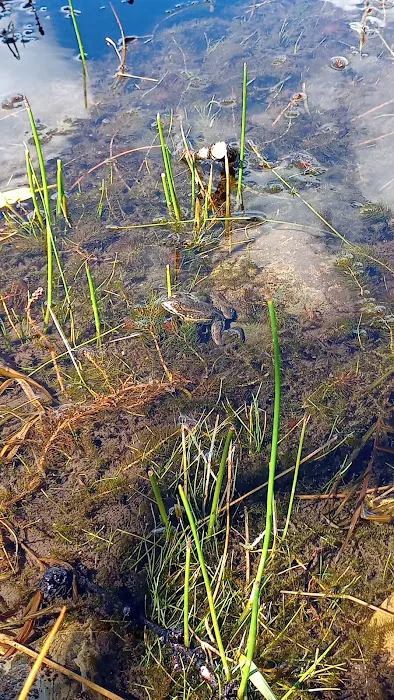 Rexford Bench Campground Picture 4