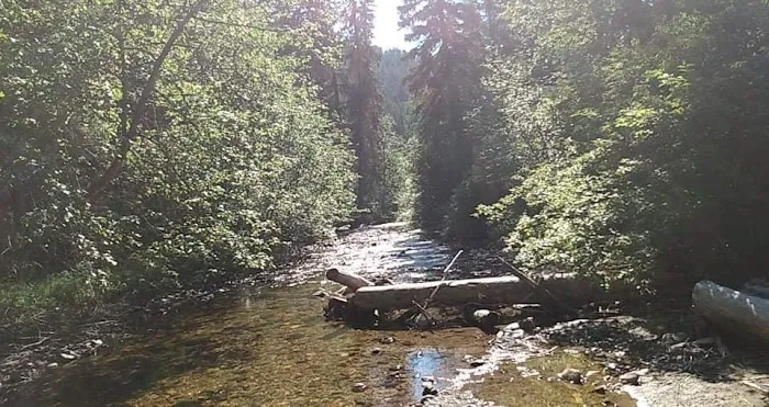 CAMP 32 Campground Picture 2