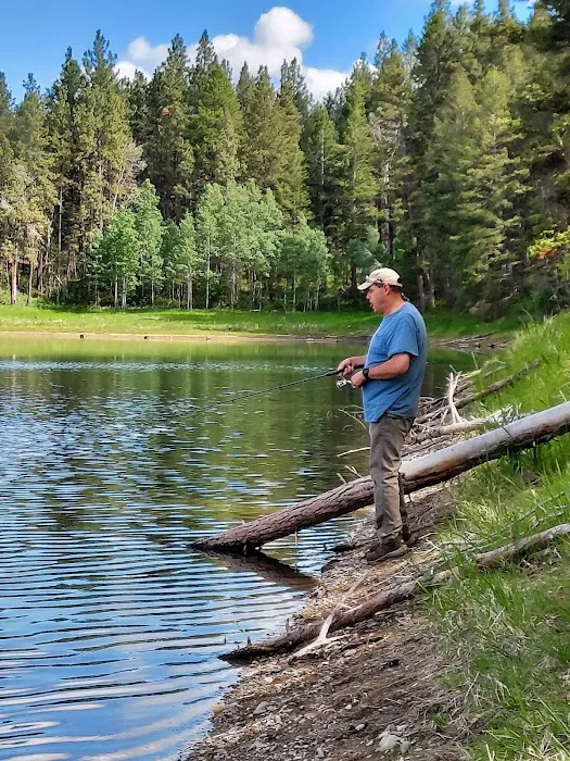 Swisher Lake Campground Picture 9