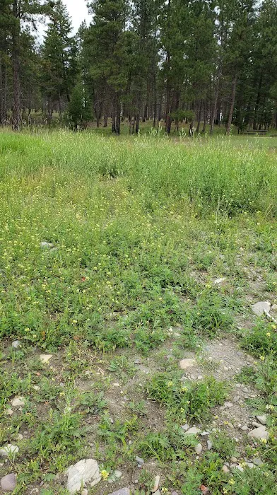 Swisher Lake Campground Picture 8