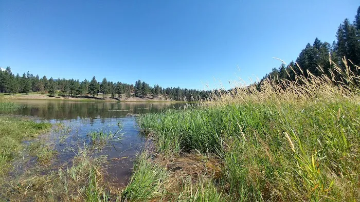 Swisher Lake Campground Picture 6