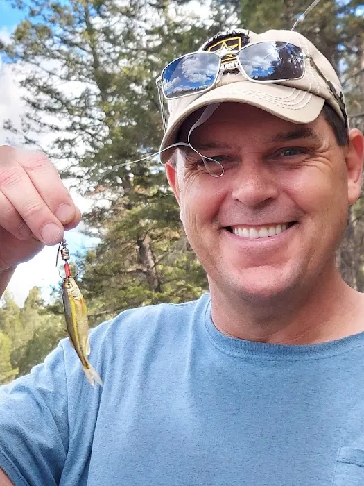 Swisher Lake Campground Picture 3