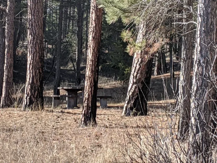 Swisher Lake Campground Picture 10