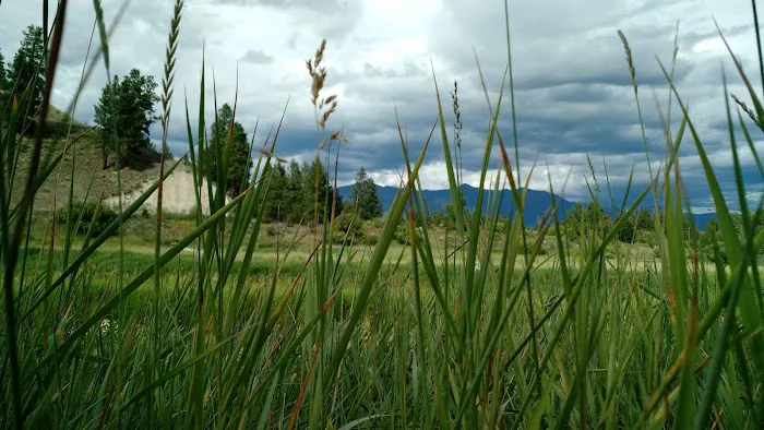 Tobacco River Campground Picture 3