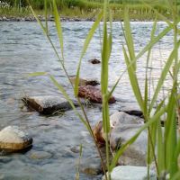 Tobacco River Campground ico