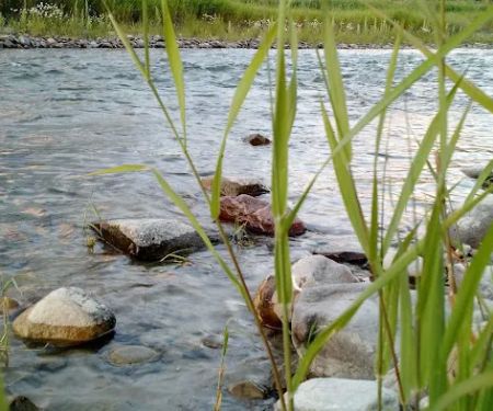 Tobacco River Campground