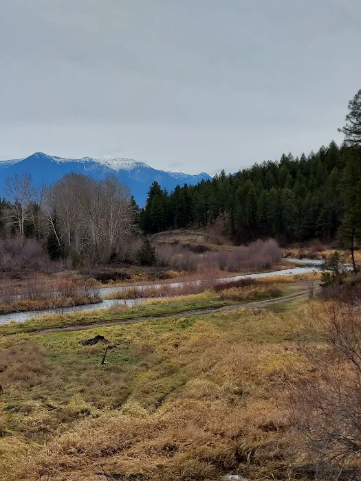Tobacco River Campground Picture 10