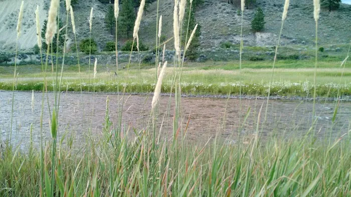 Tobacco River Campground Picture 9