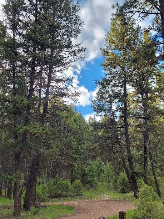 Rock Lake Campground Picture 7