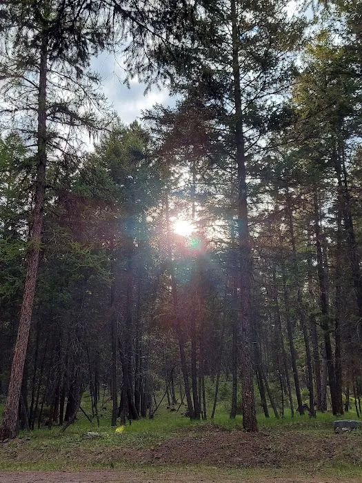 Rock Lake Campground Picture 2