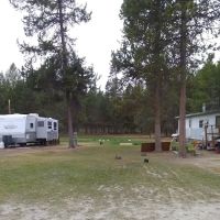 Moose Crossing Inc ico