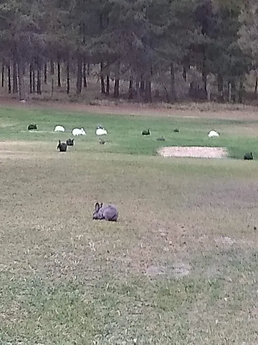 Moose Crossing Inc Picture 2