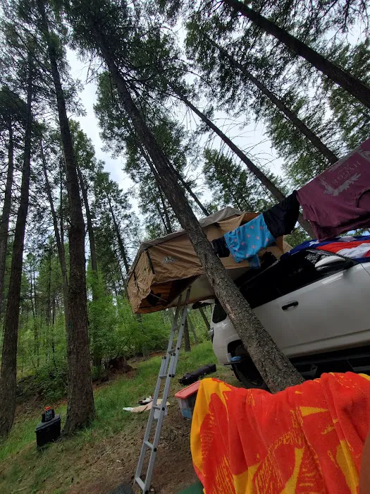 Ashley Lake South Campground Picture 7