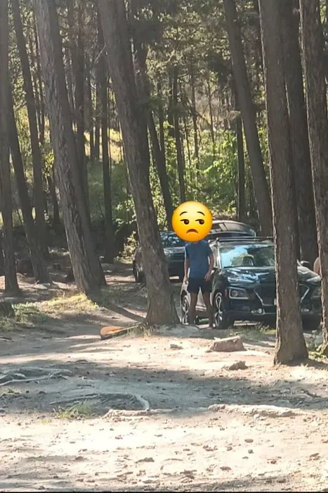 Ashley Lake South Campground Picture 5