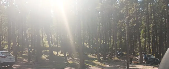 Ashley Lake South Campground Picture 3