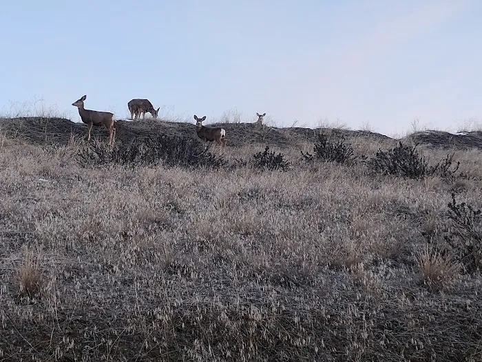 Off the Beaten Path Glampground Picture 8