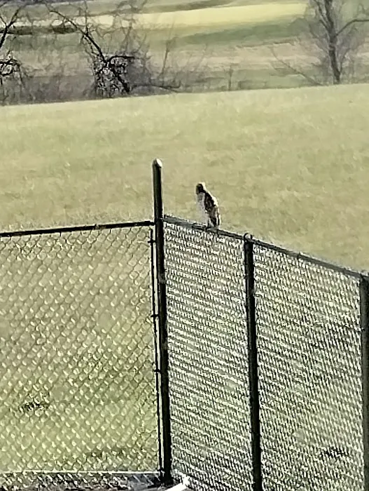 Harmony Estates Picture 8