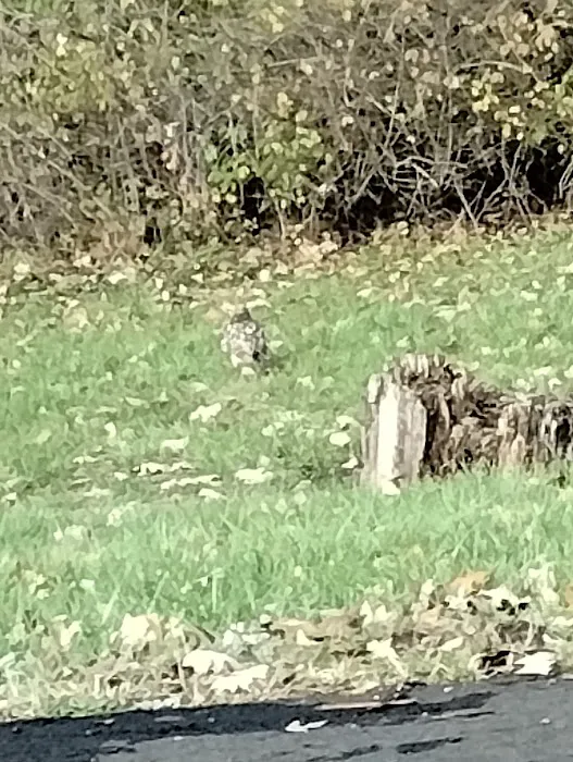 Harmony Estates Picture 5