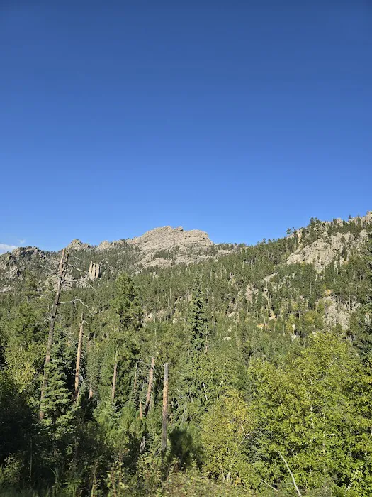 Sylvia Lake Campground Picture 1