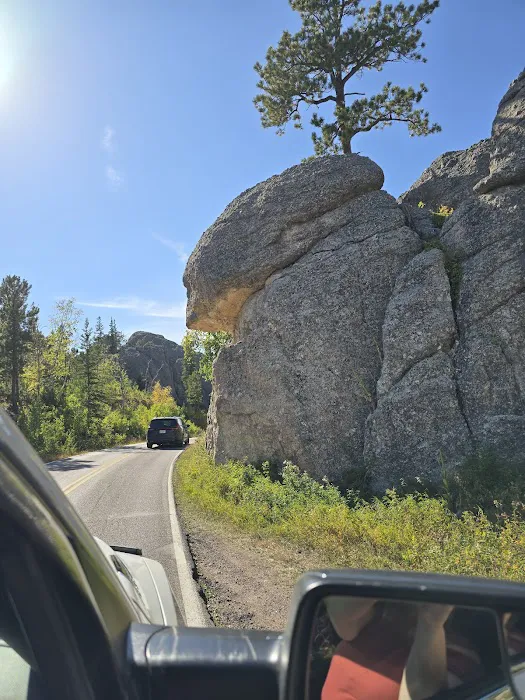 Sylvia Lake Campground Picture 8