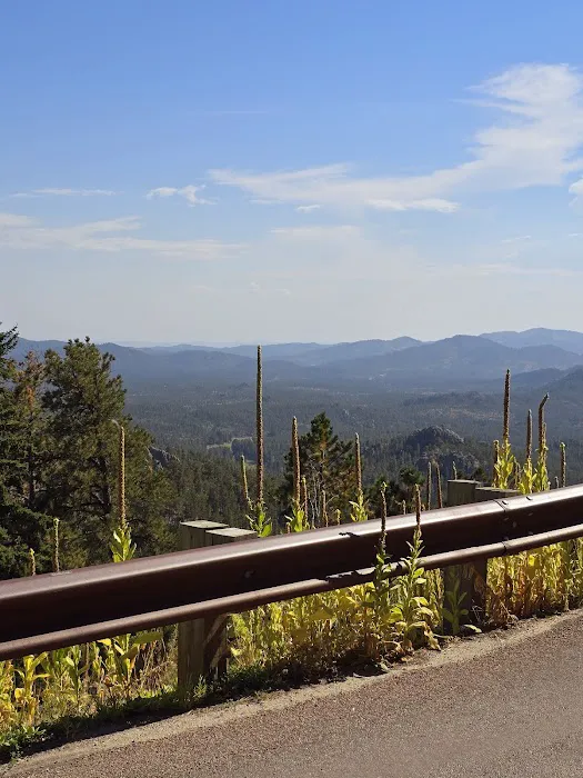 Sylvia Lake Campground Picture 4