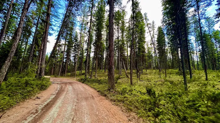 Tally Lake Campground Picture 8