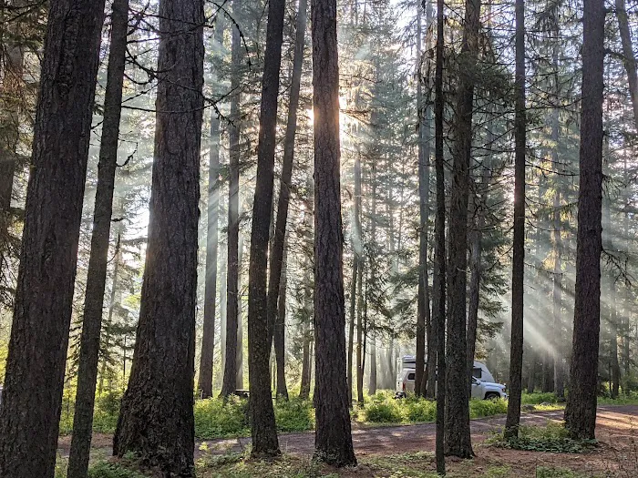 Tally Lake Campground Picture 2