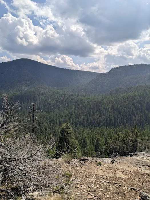 Tally Lake Campground Picture 4