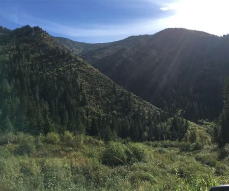 Kelly Forks Campground