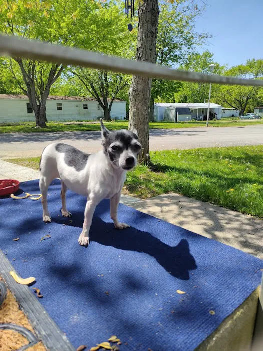 Indian Village Mobile Home Picture 7