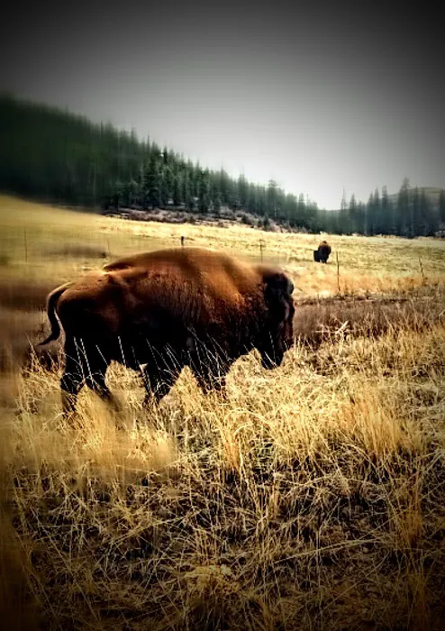 The Sanctuary Campground Picture 10