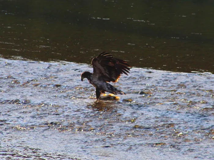 Muchwater Recreation Area Picture 4