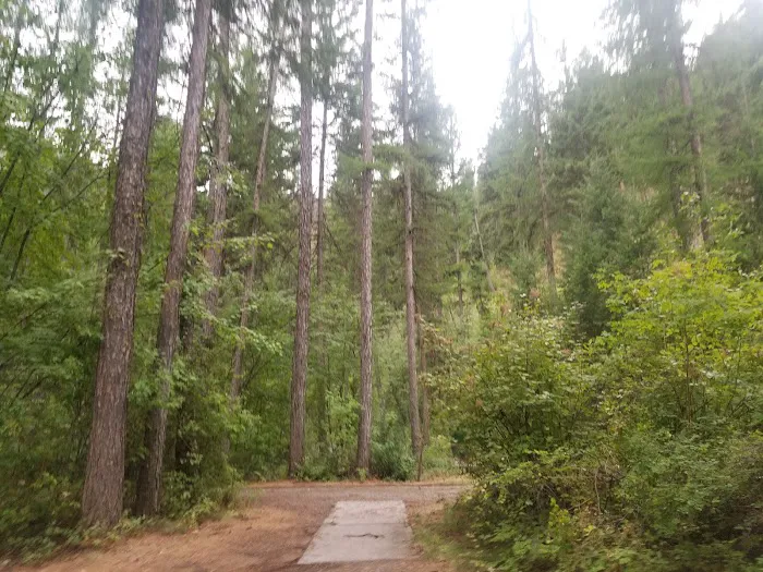 Cascade Creek Campground Picture 8