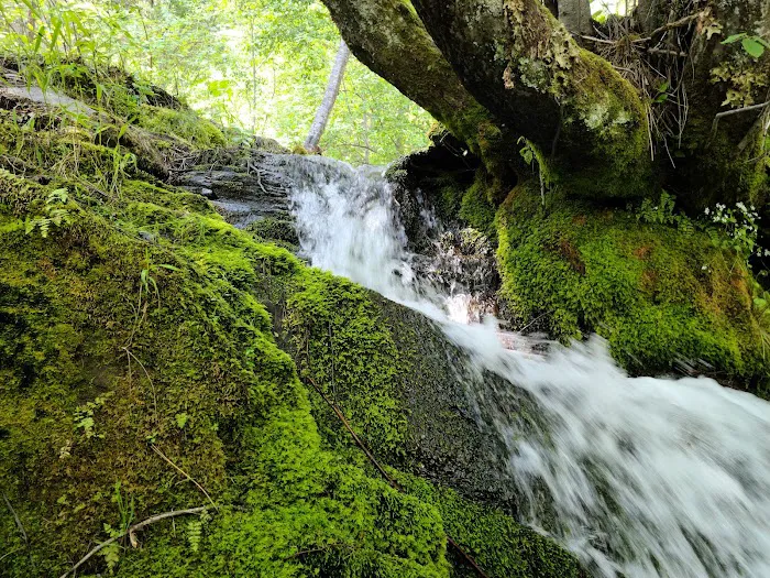 Cascade Creek Campground Picture 3
