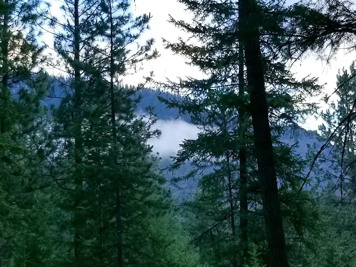 Cascade Creek Campground Picture 5