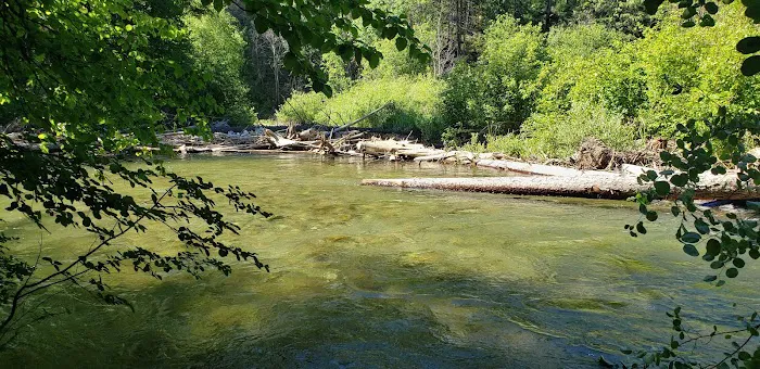 Trout Creek Campground Picture 4