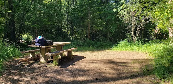 Trout Creek Campground Picture 3