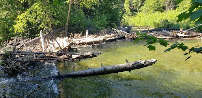 Trout Creek Campground Picture 6