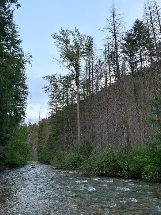 Trout Creek Campground Picture 2